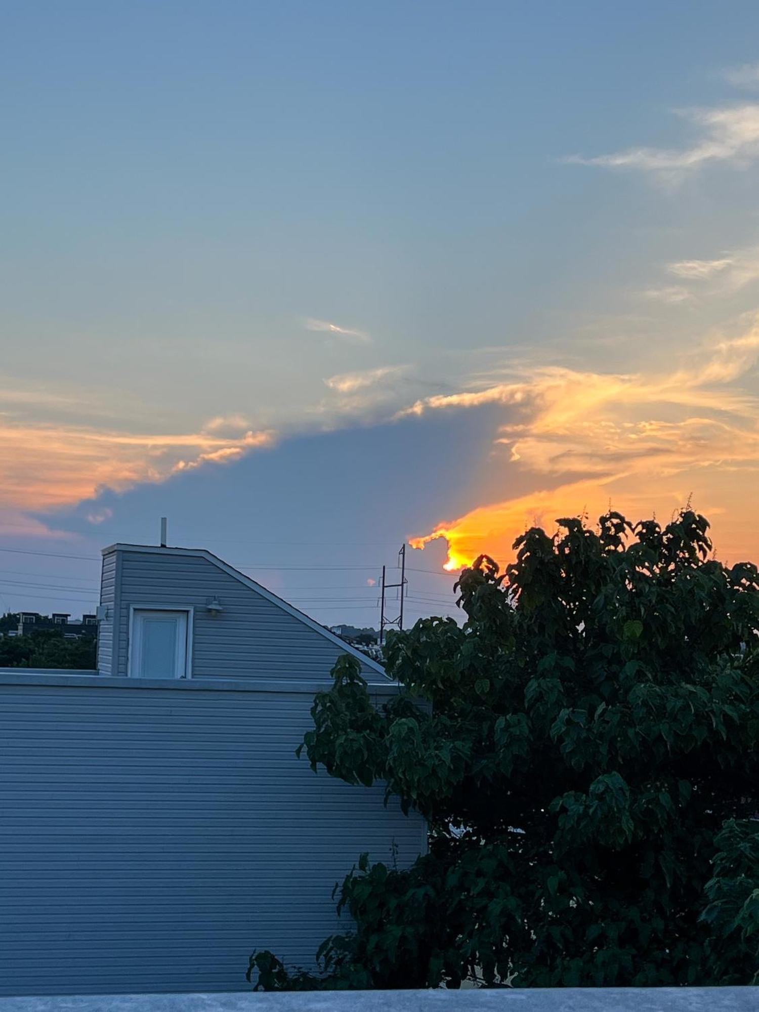 Peaceful Zen Getaway In The City Philadelphia Buitenkant foto